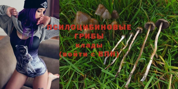 марки nbome Беломорск